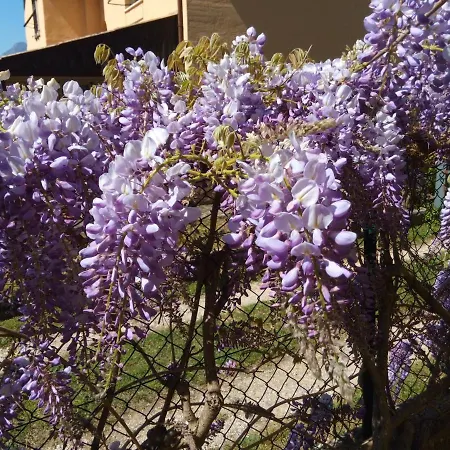 Aurora Val Di Sogno דירה מאלצ'סינה